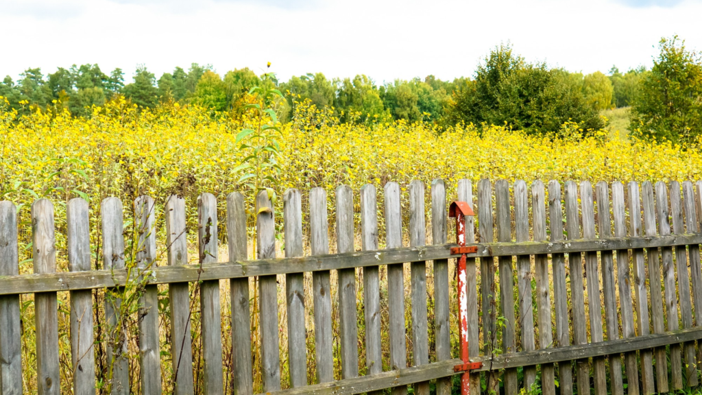 Fencing East Hampton CT Services | Trusted Company in CT